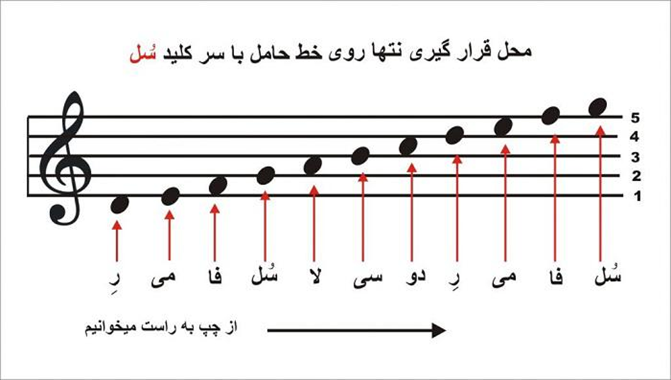 محل قرارگیری نت ها