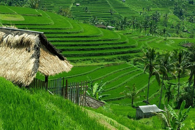 aktiviti menarik di bali