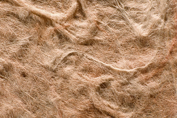 Hemp fibers image