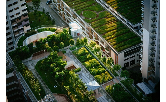 A rooftop garden is an excellent way to retain heat in winter and cool a building in summer.
