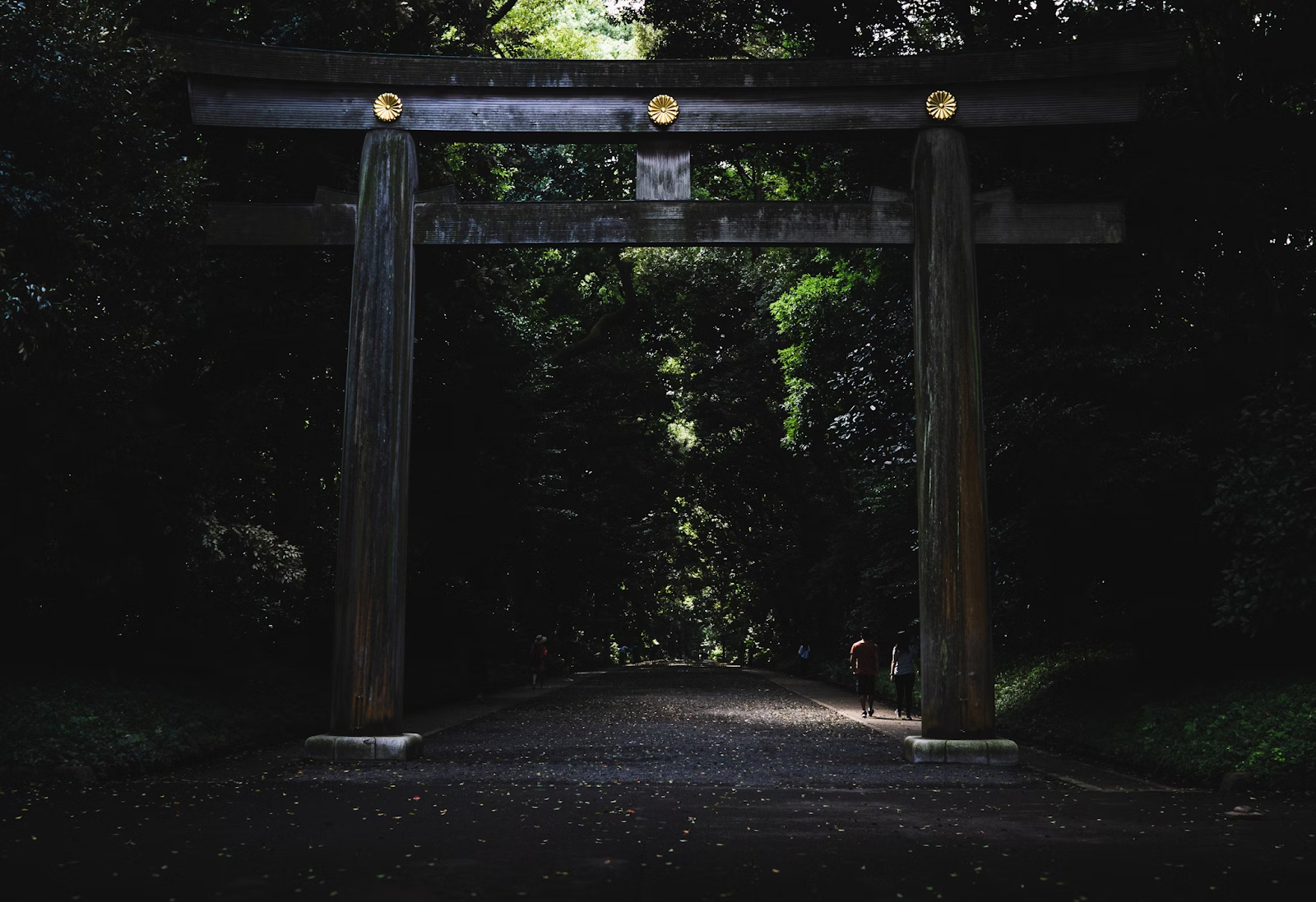 Old brown torii in japanese park and alley