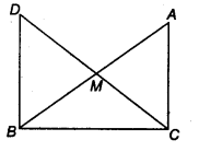 NCERT Solutions for Class 9 Maths Chapter 7 Triangles Ex 7.1 Q8