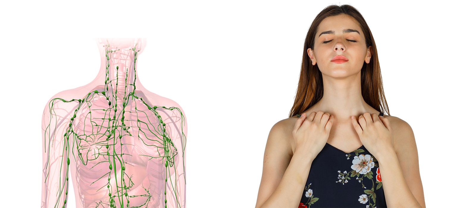 Transform Your Health Through Lymphatic Support