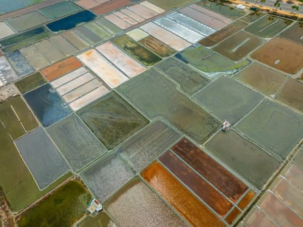 18 Fields That Glow at Golden Hour, golden fields, sunset glow, nature, landscape, radiant earth, evening shine