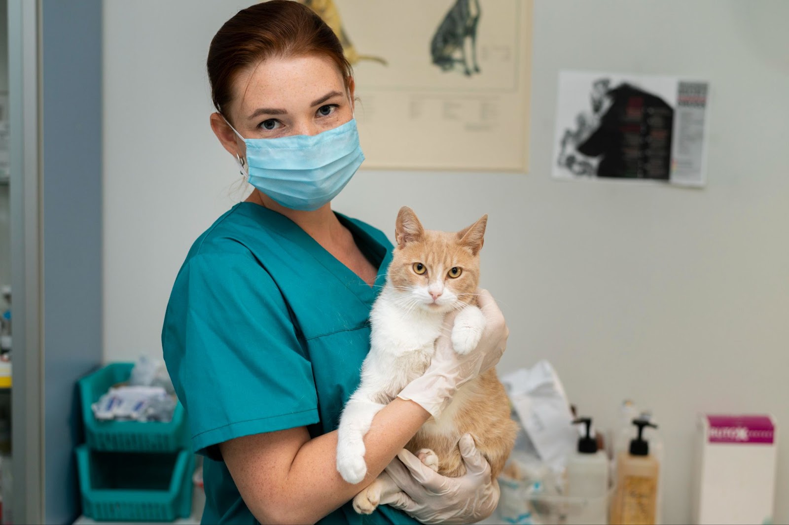 cuanto-gana-un-veterinario