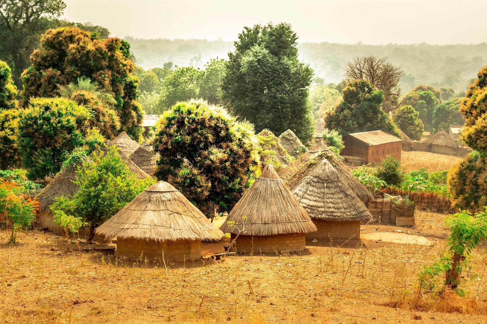 Chozas de paja en África, ejemplo de arquitectura vernácula