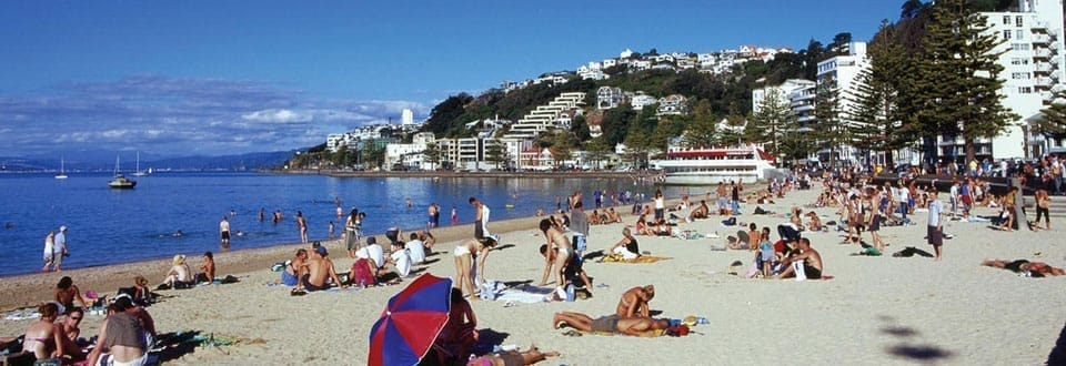 Relax at Oriental Bay