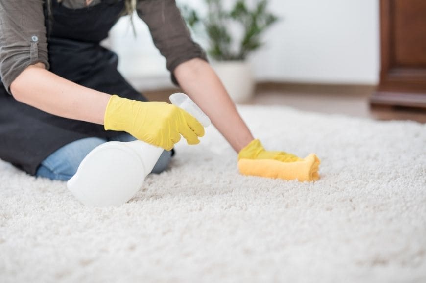 Carpet cleaning