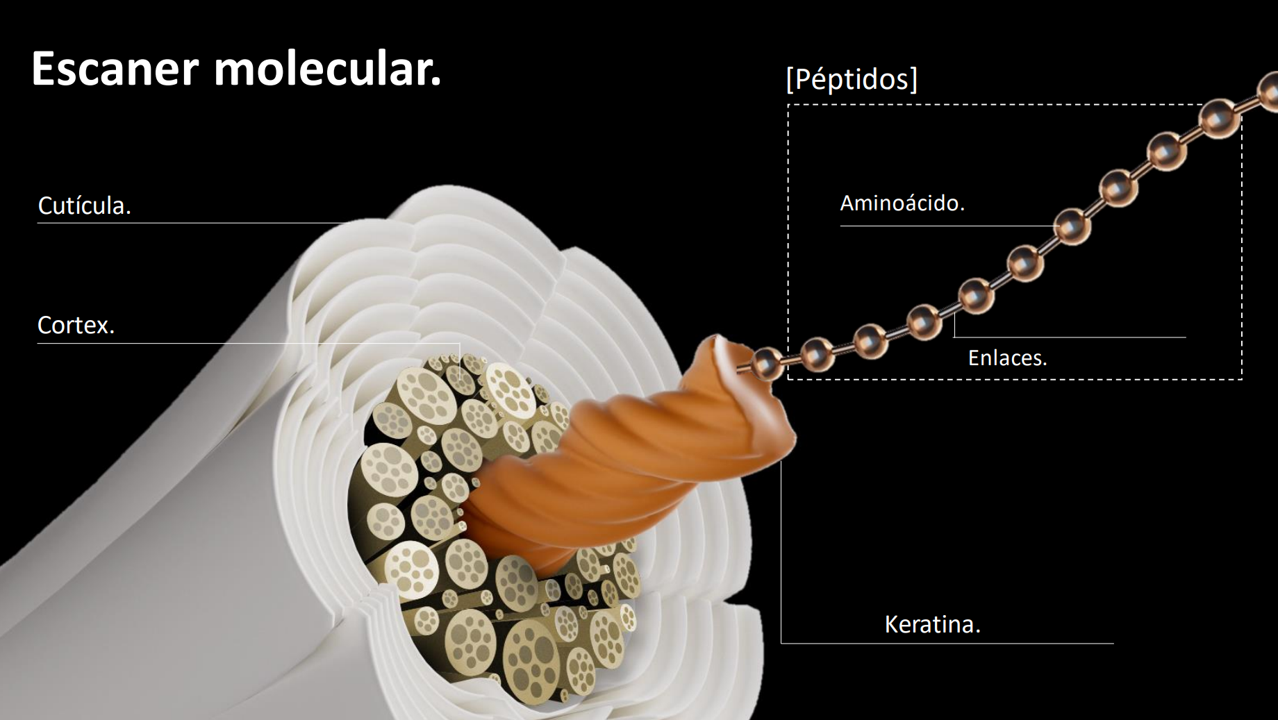 Absolut repair molecular L'Oréal opiniones serum como se usa para que sirve mascarilla shampoo