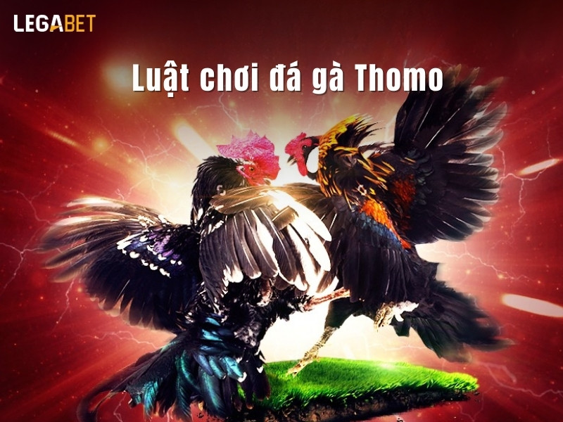 Luật chơi đá gà Thomo từ LEGABET