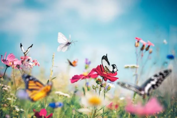 25 Nature Moments That Deserve a Second Look, remarkable nature, photo moments, nature, landscape, natural magic, scenic impact