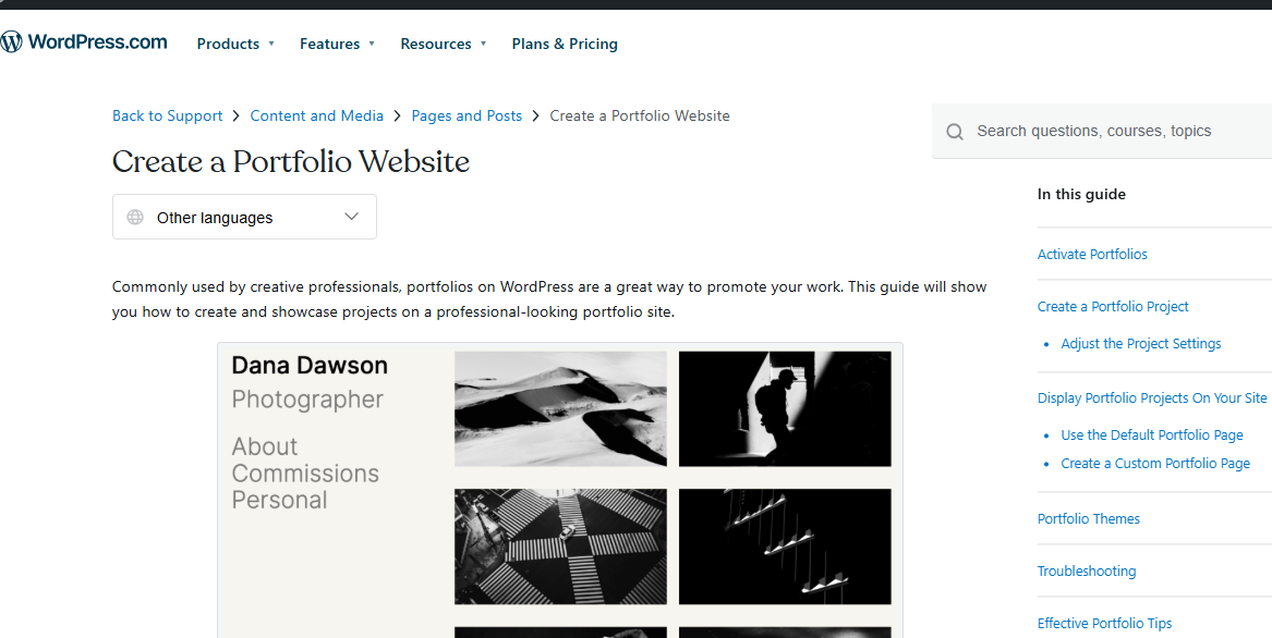 WordPress portfolio websites