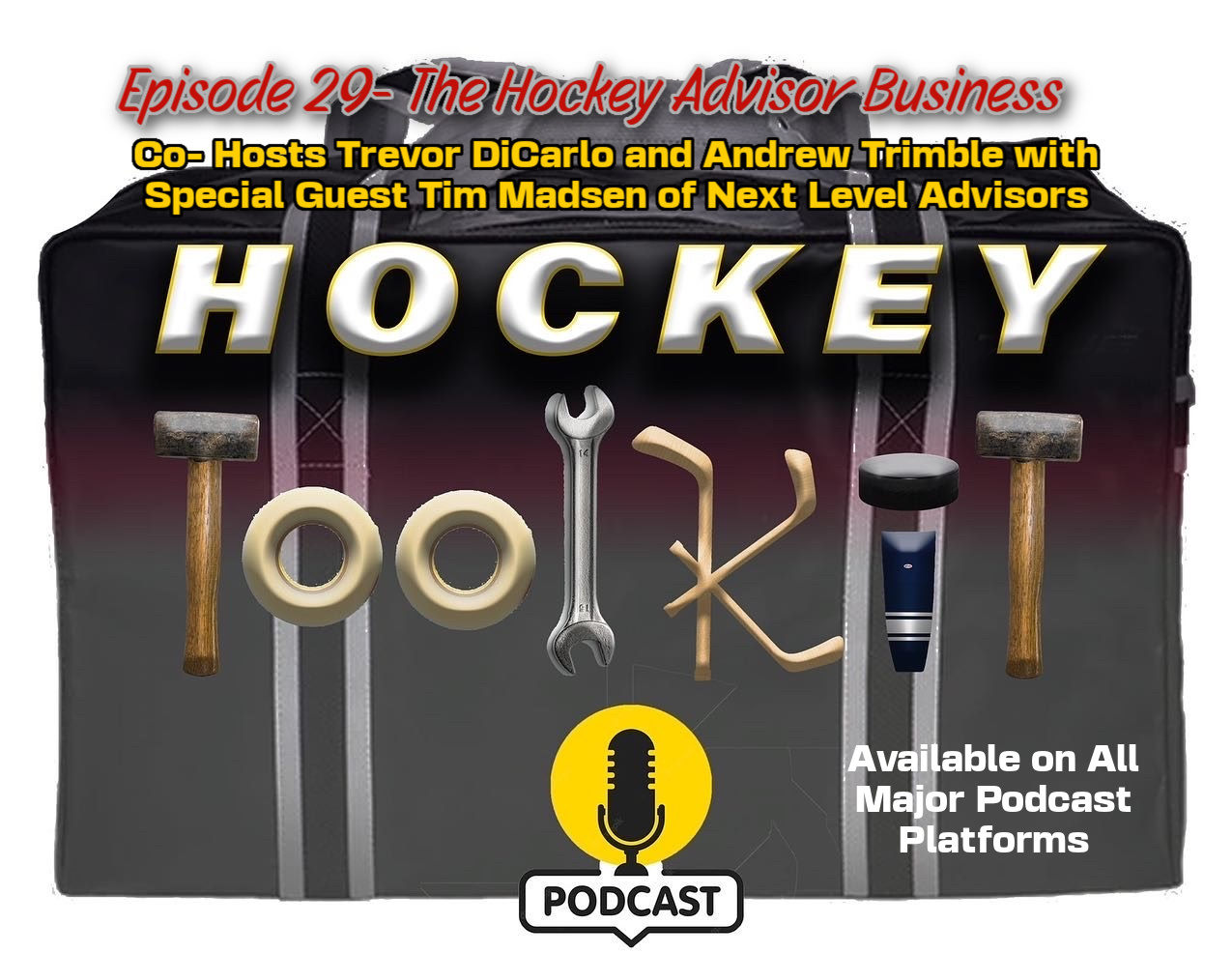 Sports Psychologists & Advisors... do you need one? - The Hockey Focus