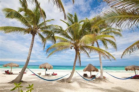 Image result for beach in mexico 