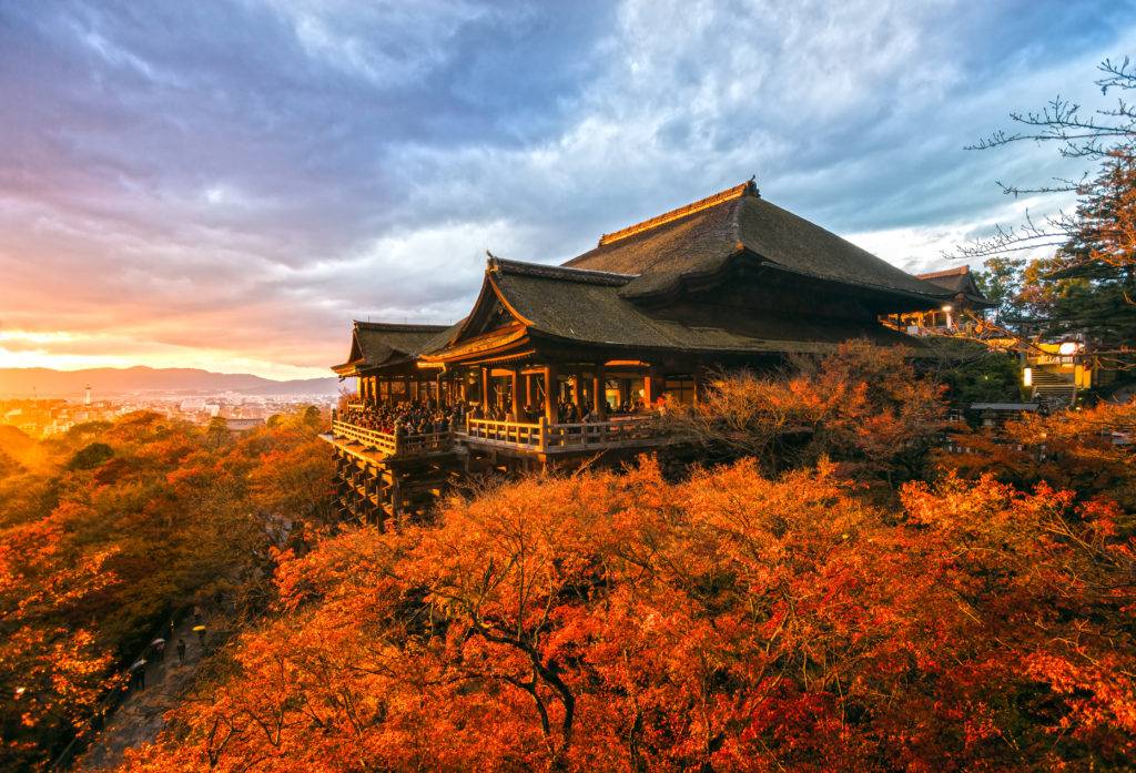 Kiyomizu Dera Temple - Tea Ceremony Japan Experiences MAIKOYA
