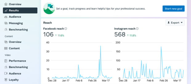 Meta Business Suite Insights results graph Facebook and Instagram reach