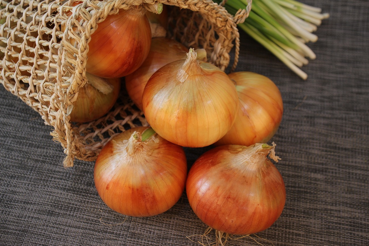 onion vegetable seeds that need stratification