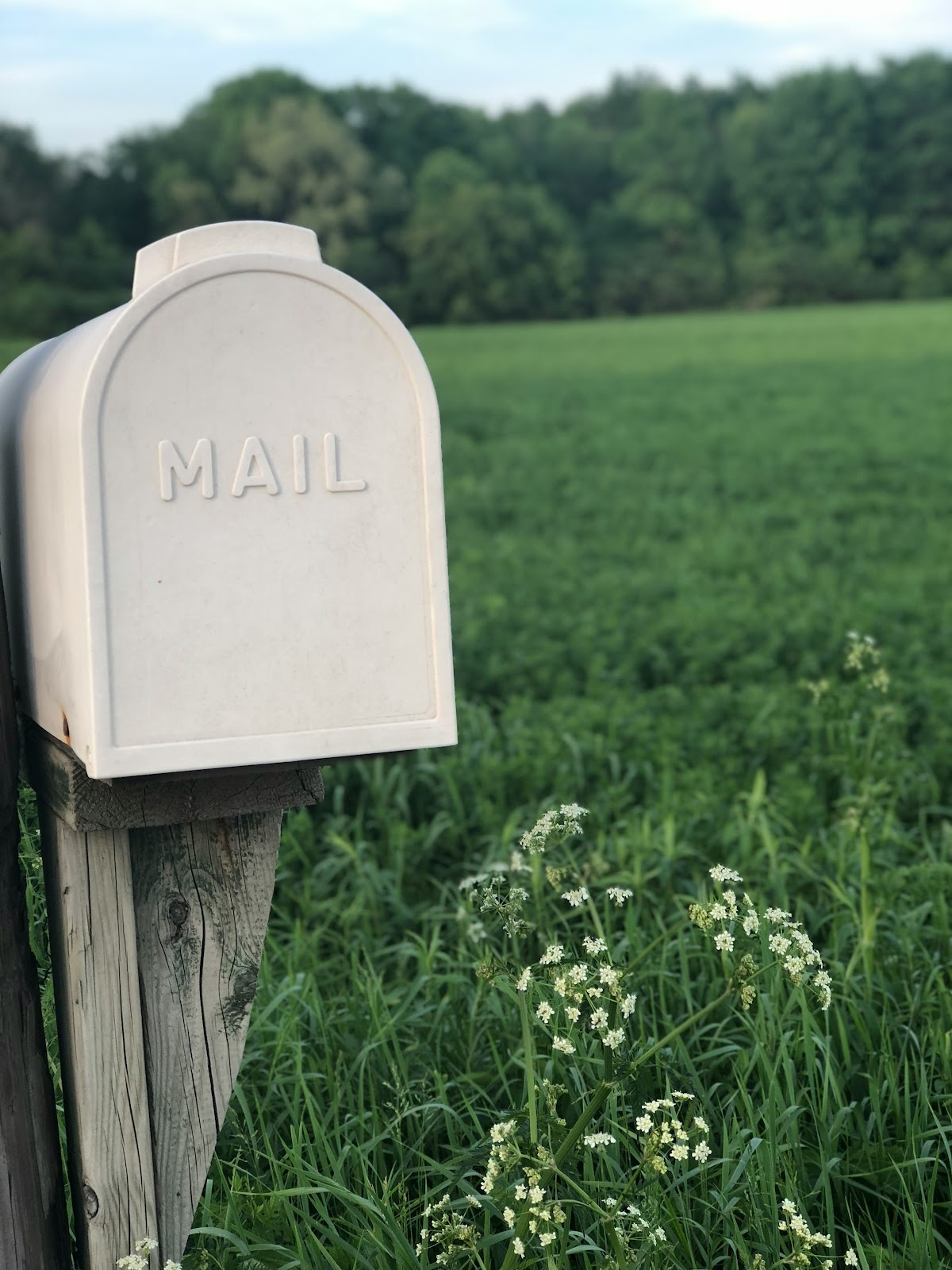 A mailbox outdoor | Source: Unsplash