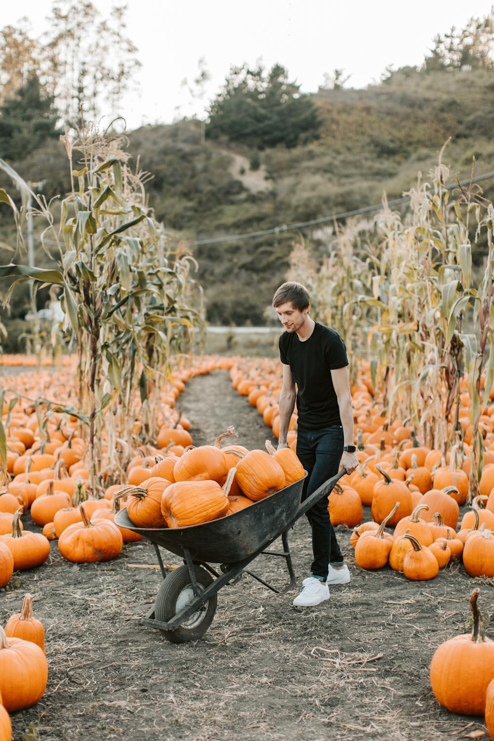 A man working on his farm | Source: Pexels