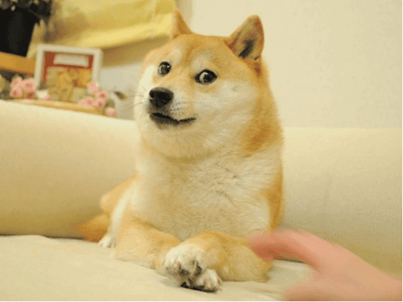 狗狗幣是什麼？解析馬斯克最愛的 Dogecoin