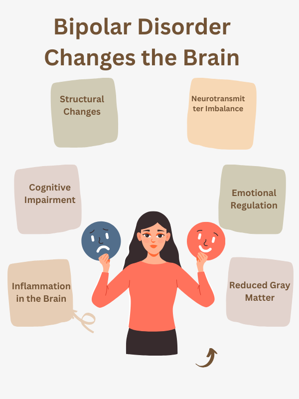 Illustration of Bipolar Disorder's effects on the brain, highlighting structural changes, neurotransmitter imbalance, cognitive impairment, emotional regulation, and more.