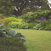 Tips for Designing the Perfect Garden Landscape