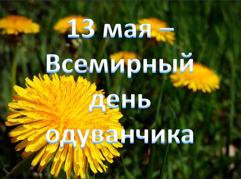 «Носит одуванчик жёлтый сарафанчик»