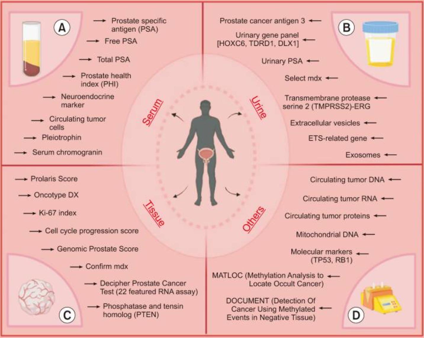 A diagram of a person's body

AI-generated content may be incorrect.
