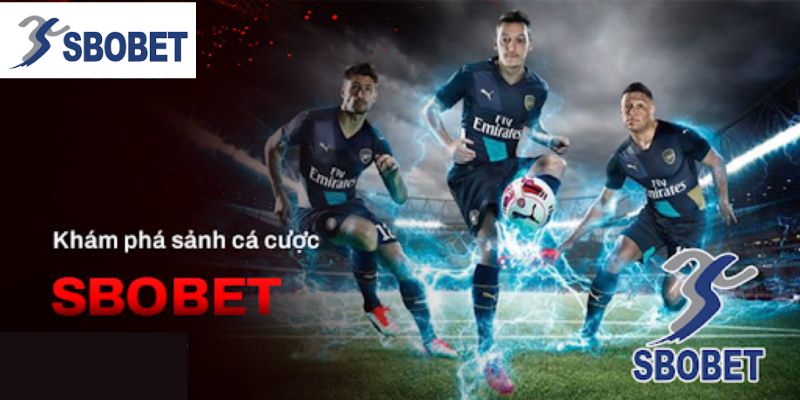 Sự đa dạng về các loại hình cá cược Sbobet