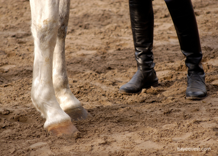 Boot Horse Leg Markings