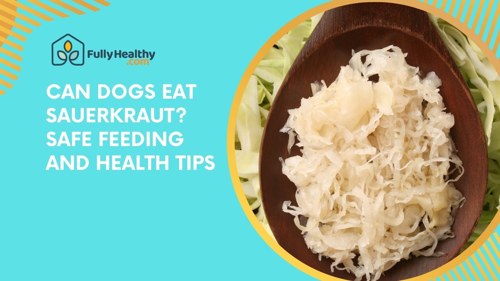 Can Dogs Eat Sauerkraut? Safe Feeding and Health Tips