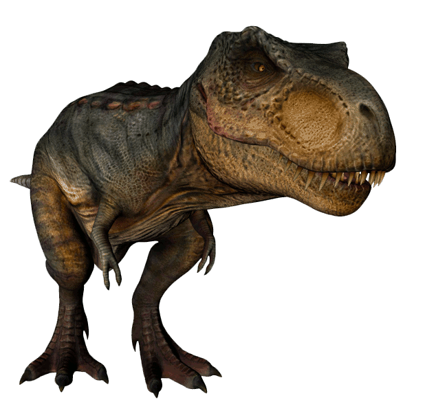 CURIOSIDADES | Dinosaur pictures, Dinosaur posters, Funny elephant