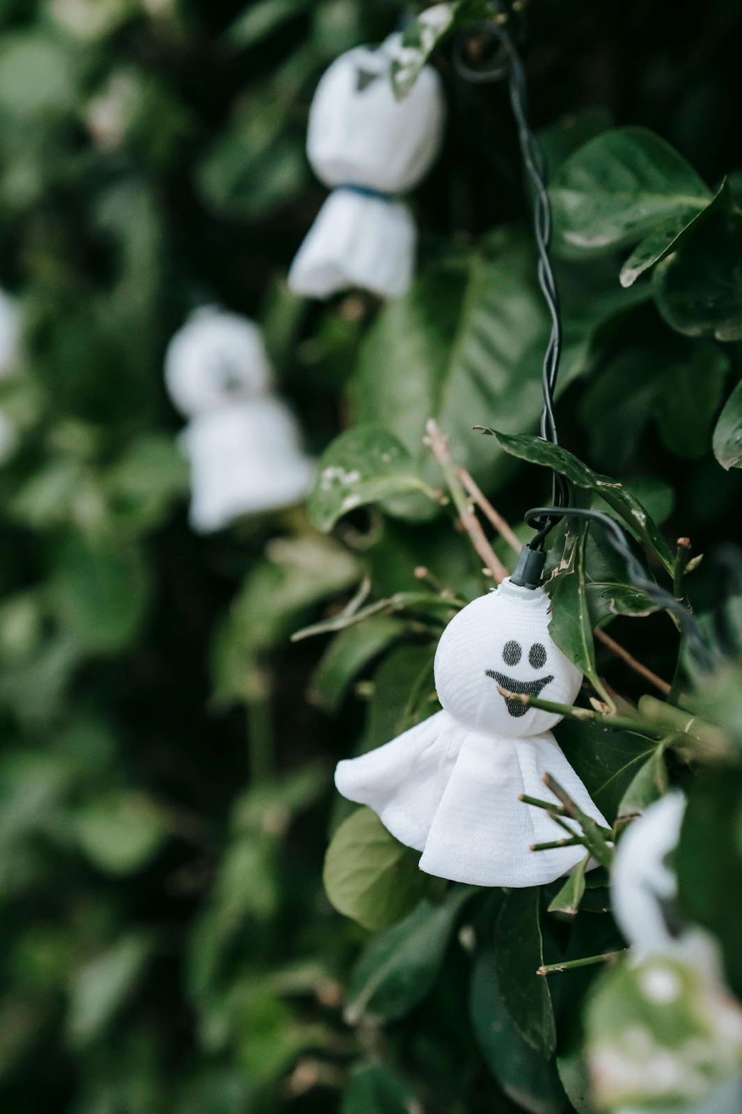 A green bush with white ghost string lights