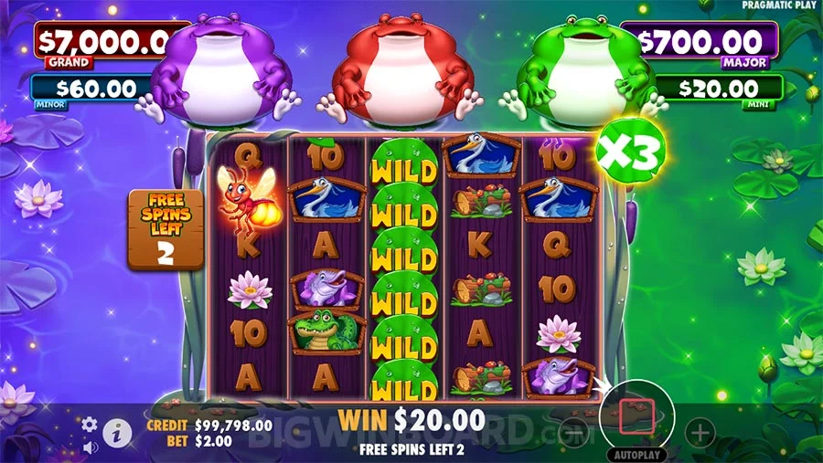 Tiny Toads free spins bonus feature gameplay