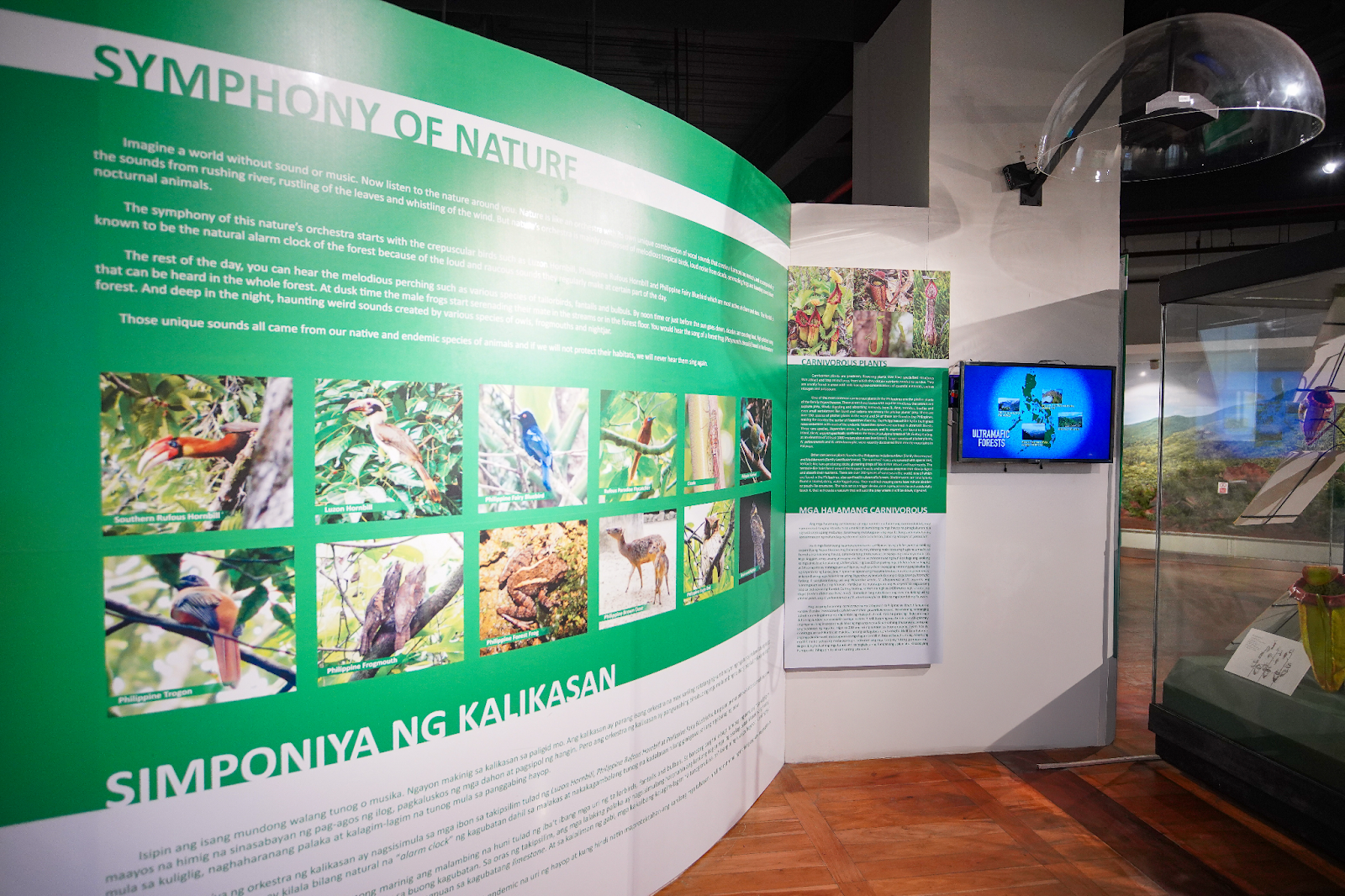Celebrating 12 Years of OLED Excellence, LG Showcases “Fragments” by Isaiah Cacnio at the National Museum of Natural History