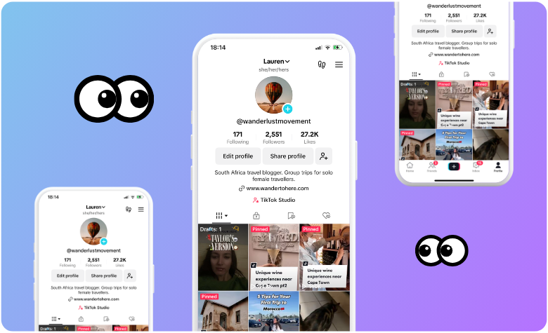 tiktok story viewer