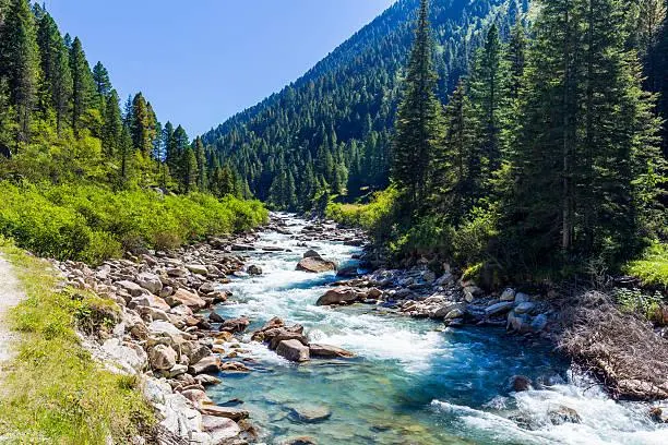 Discover Untouched Nature in 18 Stunning Images, untouched landscapes, pristine nature, nature, forest, landscape, raw environment, pure scenes