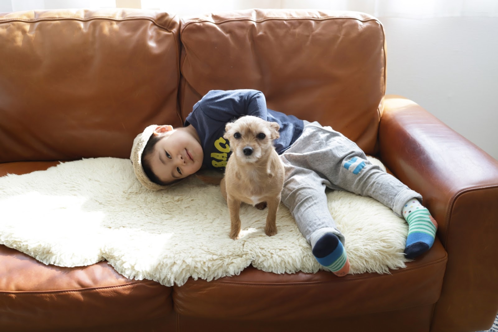 抜け毛対策を終えてソファでくつろぐ子どもと犬