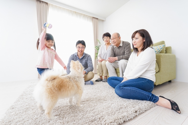 ペットとの暮らしのイメージ