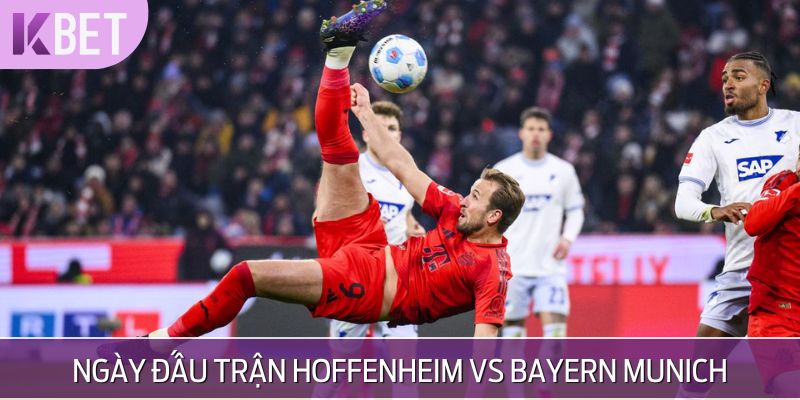 Lịch thi đấu trận Hoffenheim vs Bayern Munich