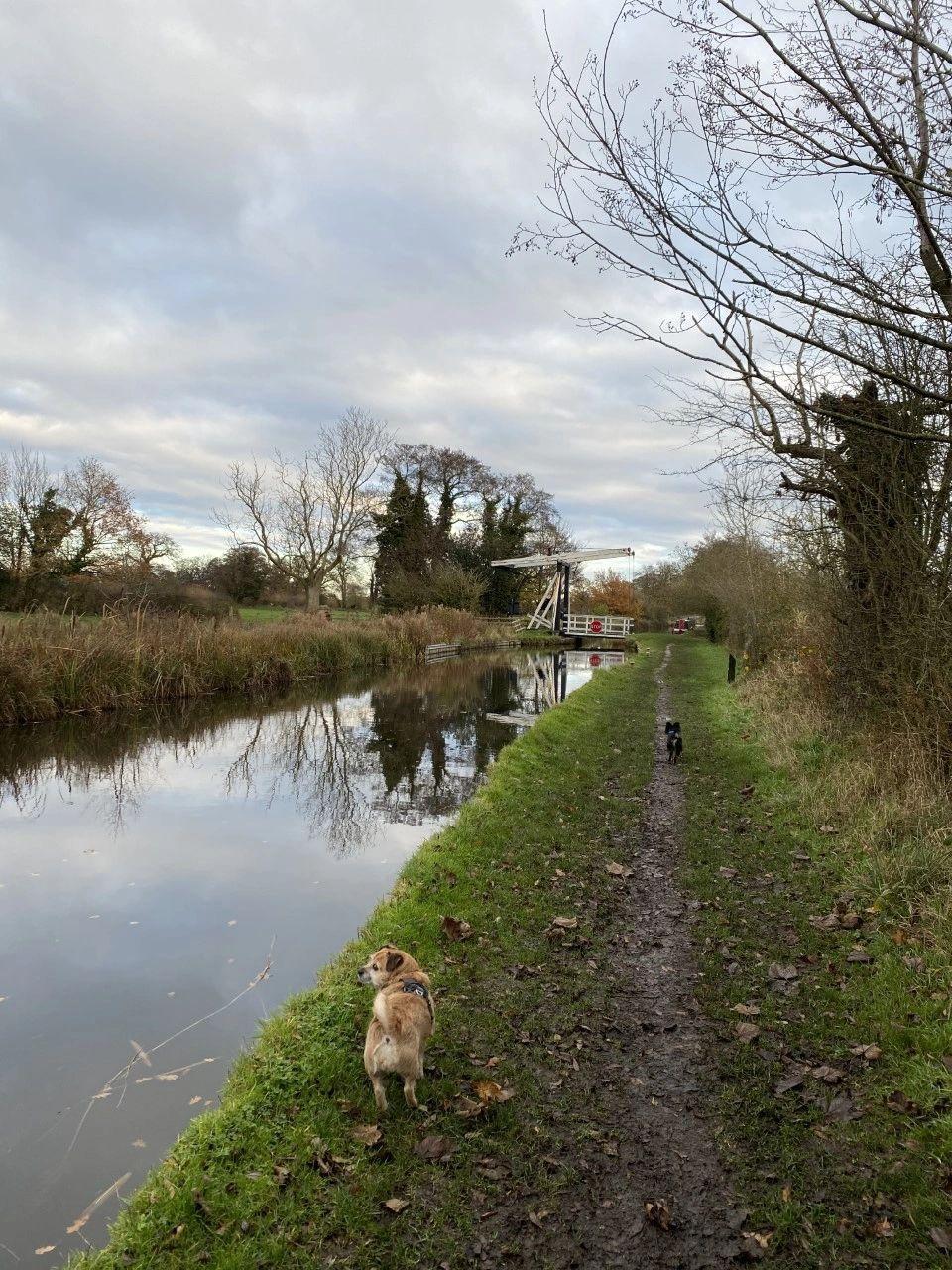 Maisy walking behind Rico towards a white canal bridge