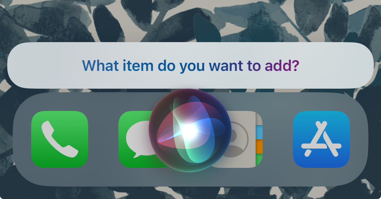 Screenshot of Siri asking "What item do you want to add?"