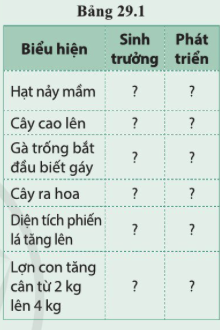 BÀI 29. KHÁI QUÁT VỀ SINH TRƯỞNG VÀ PHÁT TRIỂN Ở SINH VẬT 