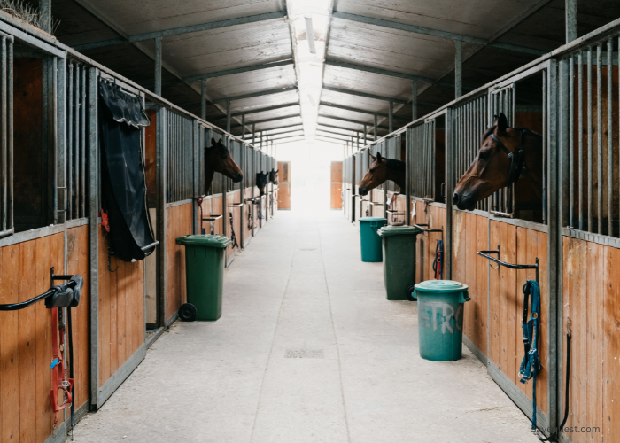 Horse Stall Size