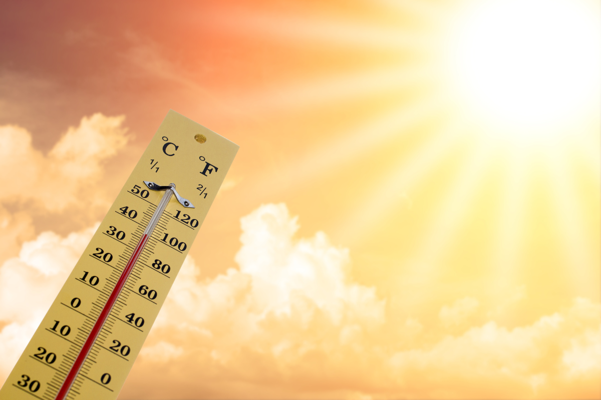 California OSHA Indoor Heat Illness Rule