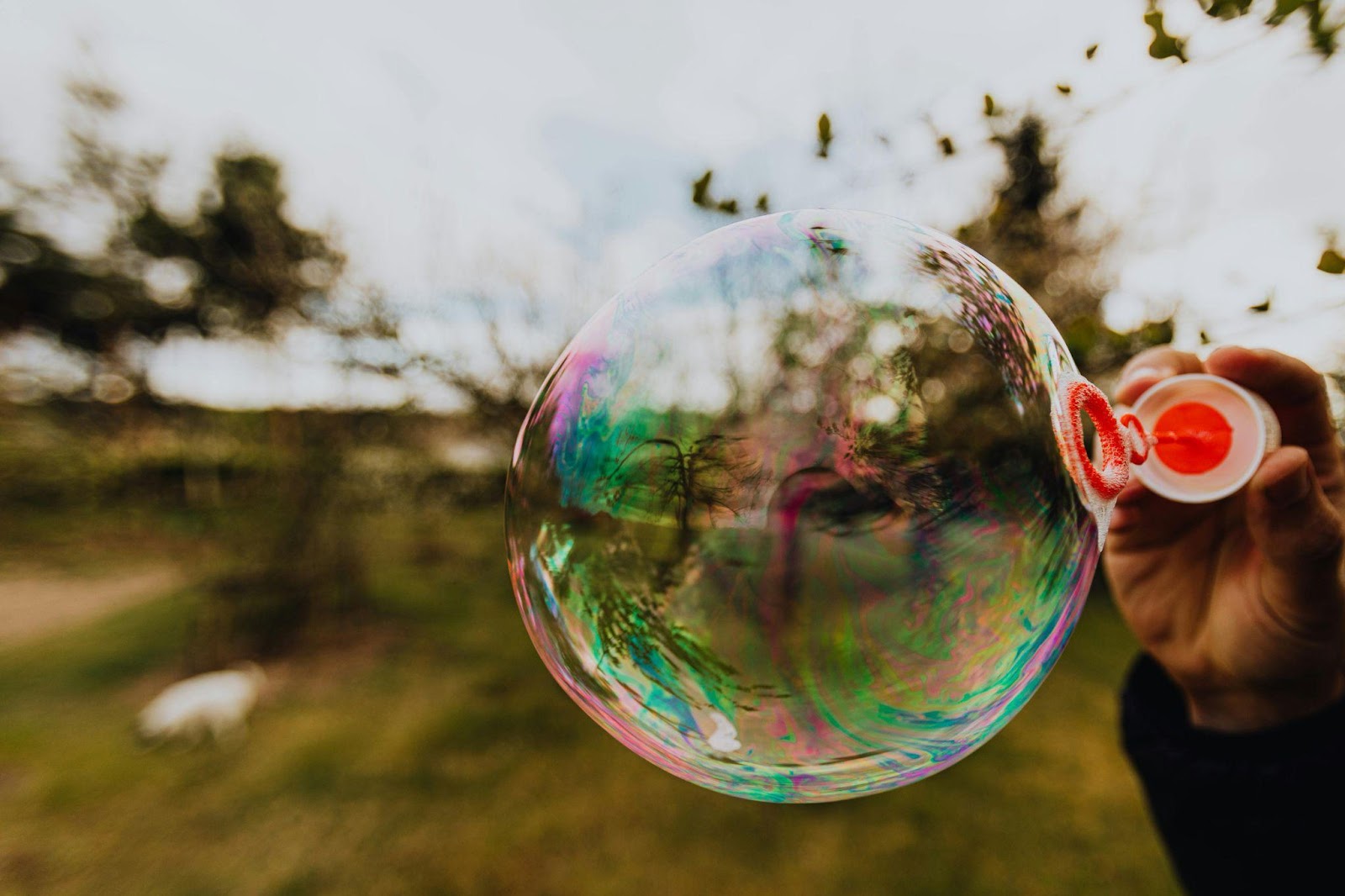 Bubble Blowing Bonanza