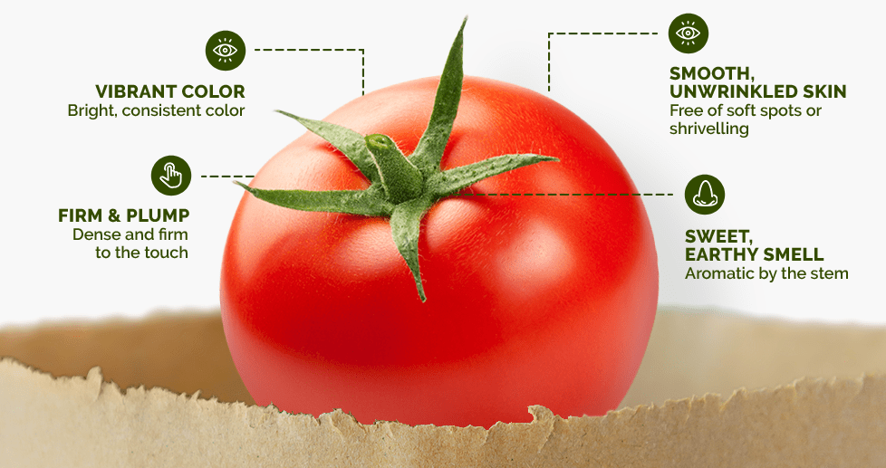 Characteristics of Tomatoes 