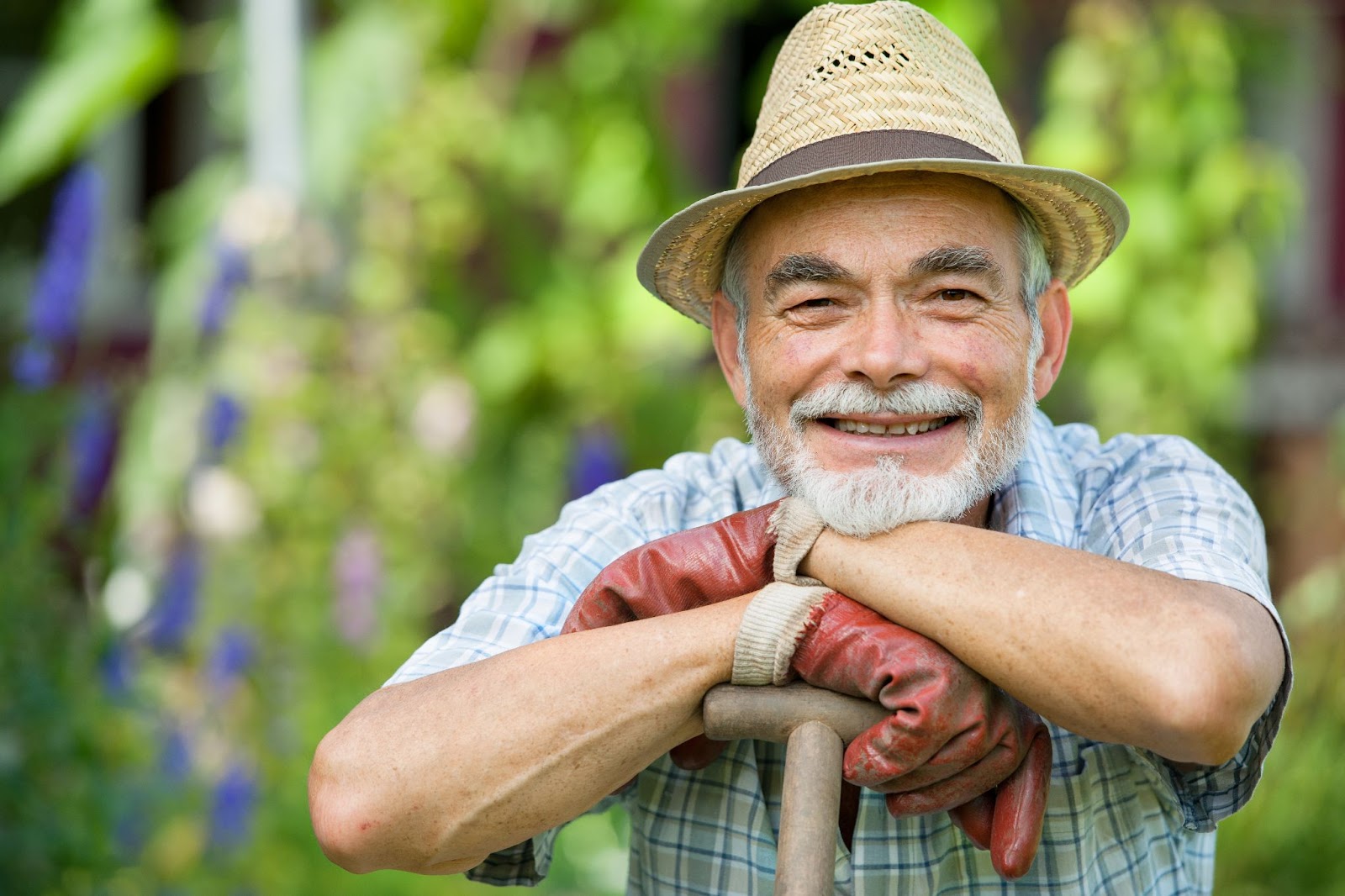 A smiling senior man leaning on a shovel outside in his garden.