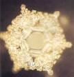 C:\Users\Rabbi Avi Cohen\Documents\Pictures\Pictures\My Pictures\Masaru Emoto\imageg3.jpg