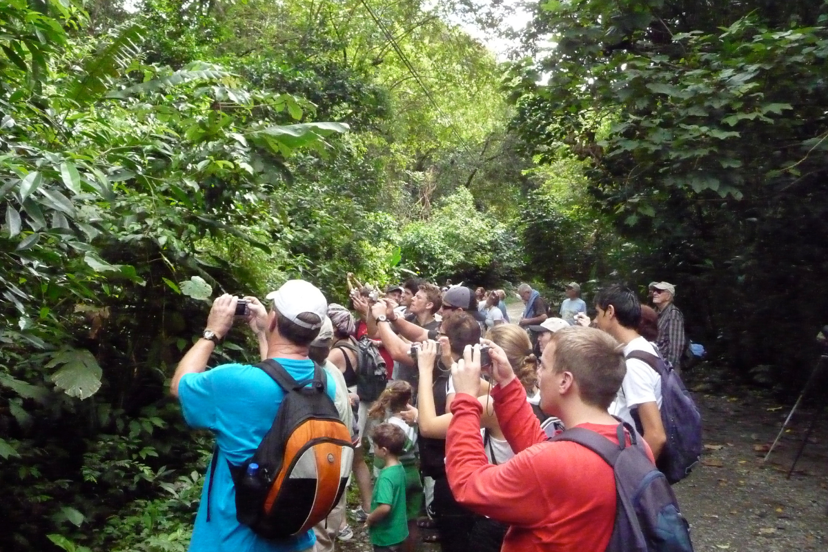 Group of tourists clicking photo of rare species